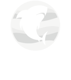 Mako Animation Studio